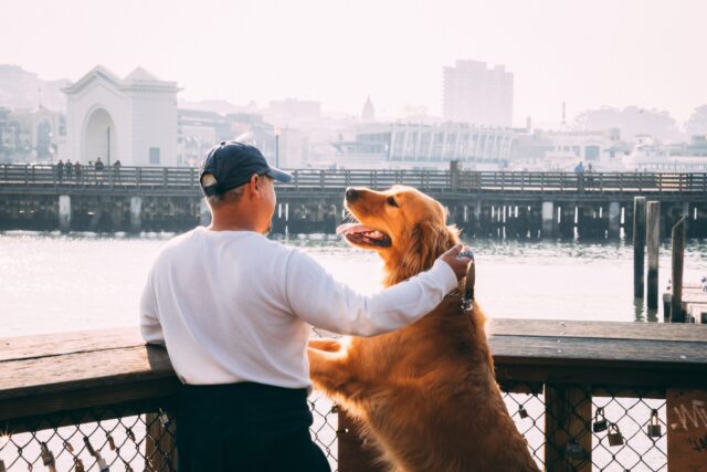 15 thành phố ở Hoa Kỳ này có dịch vụ chăm sóc thú y và tiện nghi thân thiện với chó với giá cả phải chăng nhất