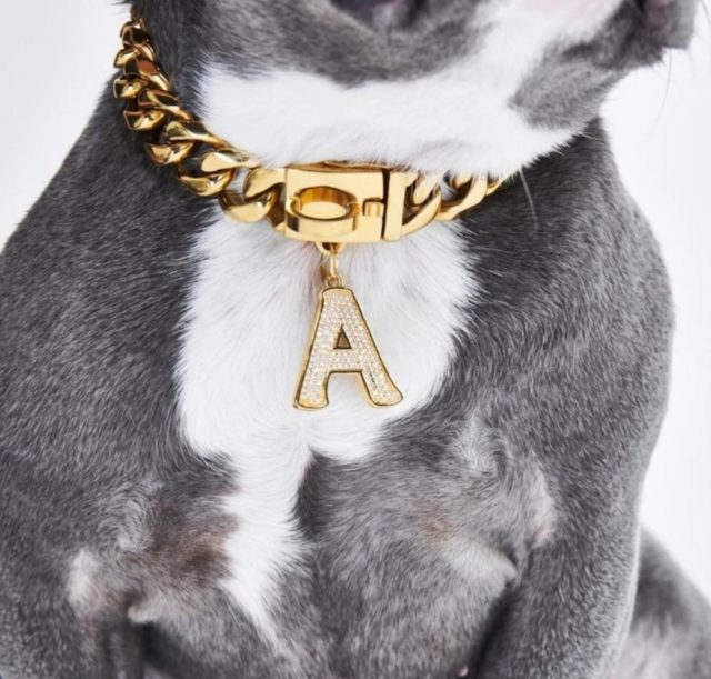 Custom Name ID Dog Collar Personalized Velvet Dog Tag Collar 