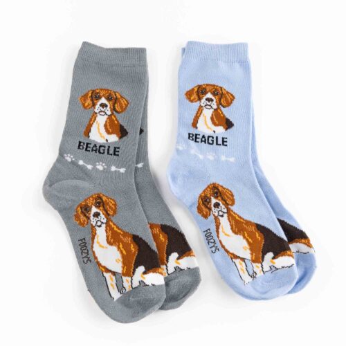 My Favorite Dog Breed Socks ❤️ Beagle - 2 Set Collection