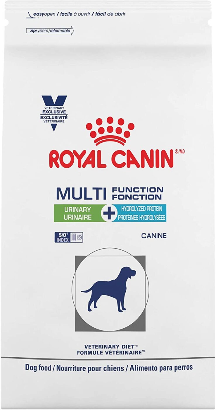 20 Best Foods for Frenchies with Allergies