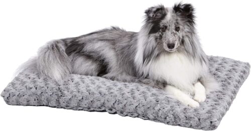 11 Best Dog Beds