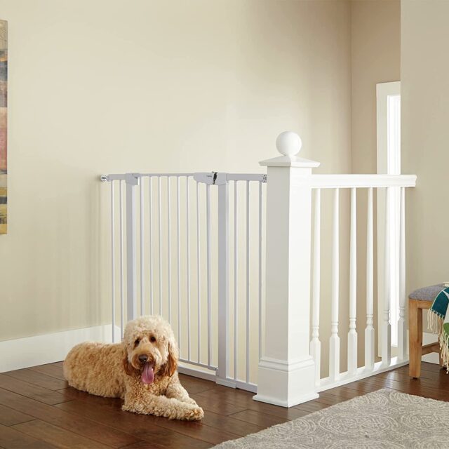 Dog gate by stairs