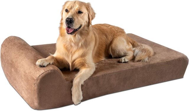 Dog laying connected  orthopedic bed