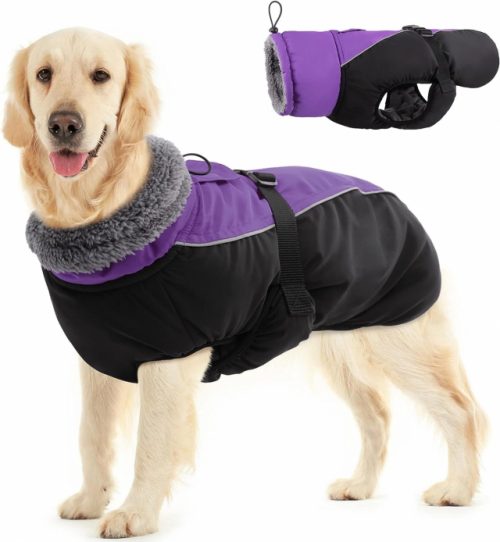 The 21 Best Winter Jackets For Dogs & Top Cold Weather Gear