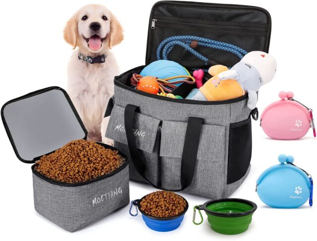 Multi-functional pet travel bag