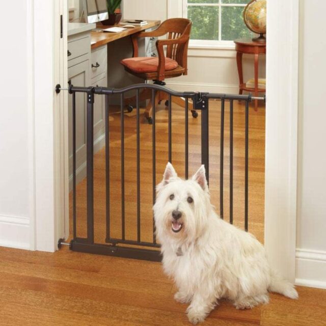 North States dog gate
