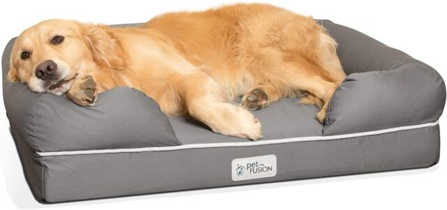 PetFusion orthopedic dog bed TeamJiX