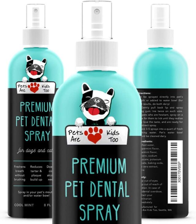 Premium pet dental spray