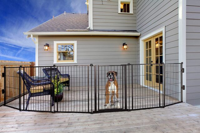 Wide outdoor dog gate