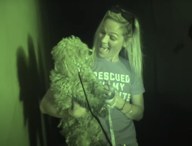 Woman rescuing abandoned dog