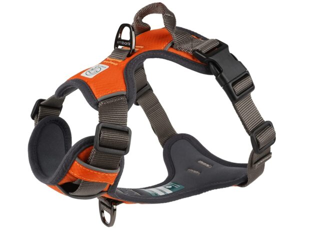 best harness for dogs