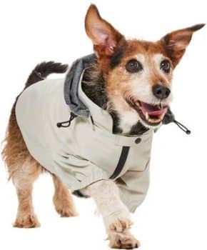 Frisco Ultra Lightweight Dog & Cat Windbreaker with Removable Hood