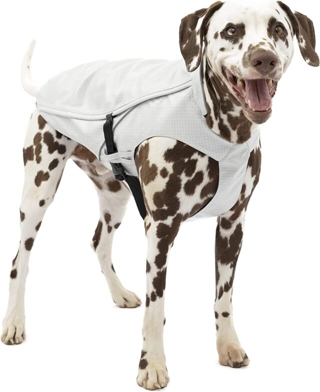 best raincoats for dogs