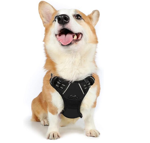 best dog harnesses