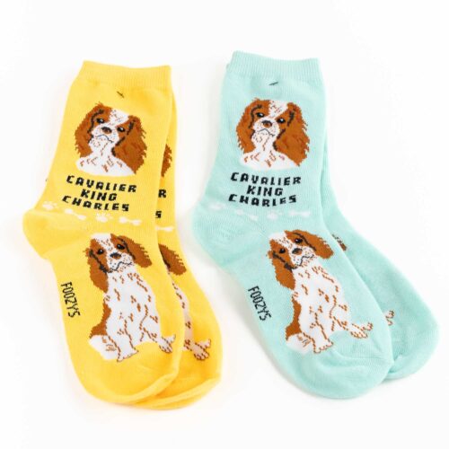 My Favorite Dog Breed Socks ❤️ Cavalier King Charles - 2 Set Collection