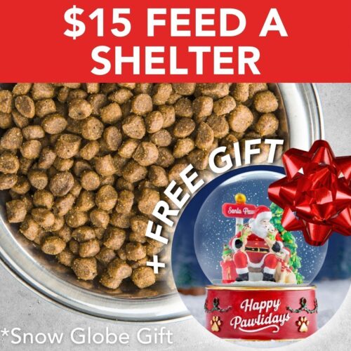 Feed An Entire Dog Shelter (30 Meals) &  Receive a FREE Santa Paws Dog Snow Globe