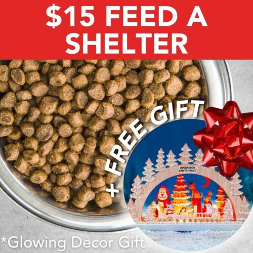 Feed An Entire Dog Shelter (30 Meals) & Receive a FREE  Operation Santa Paws Artisan Wooden Dog Christmas Lighted Table Decoration