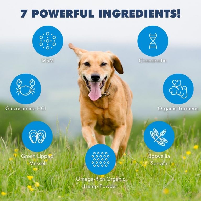iHeartDogs Hip and Joint Supplement for Dogs - Advanced 8-in-1 Dog ...