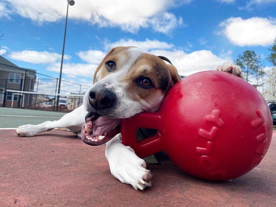 Jolly Pets Tug-n-Toss Heavy Duty Dog Toy Ball