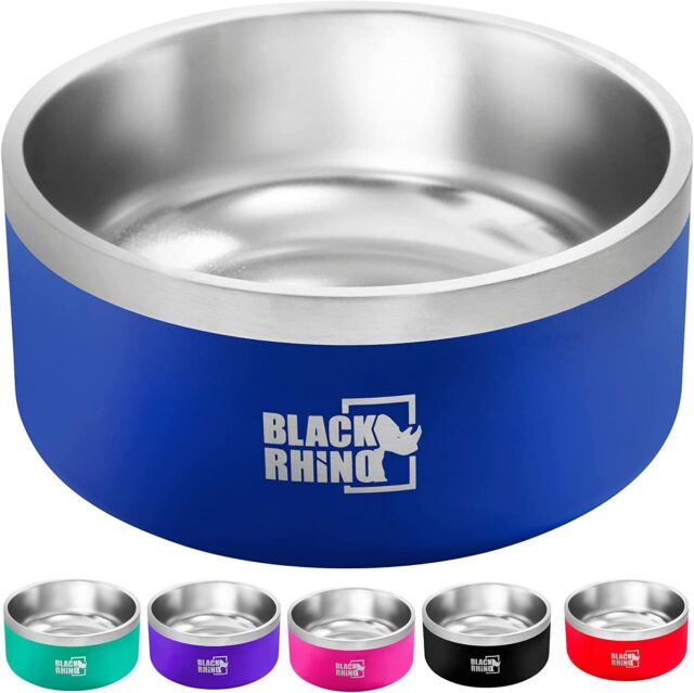 best canine  bowls