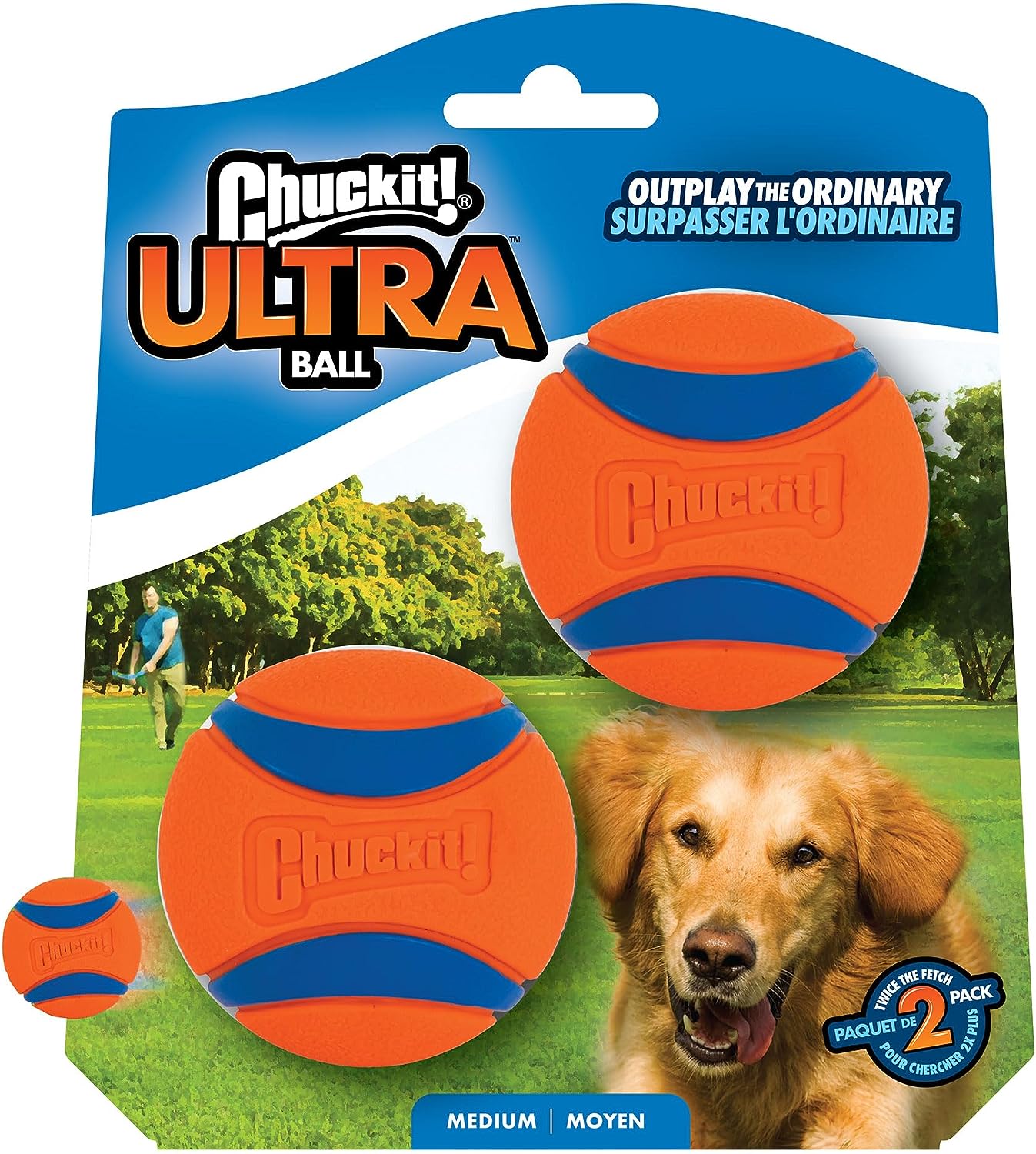 The 20 Best Durable Toys For Rottweilers