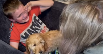 Boy surprised with disabled puppy