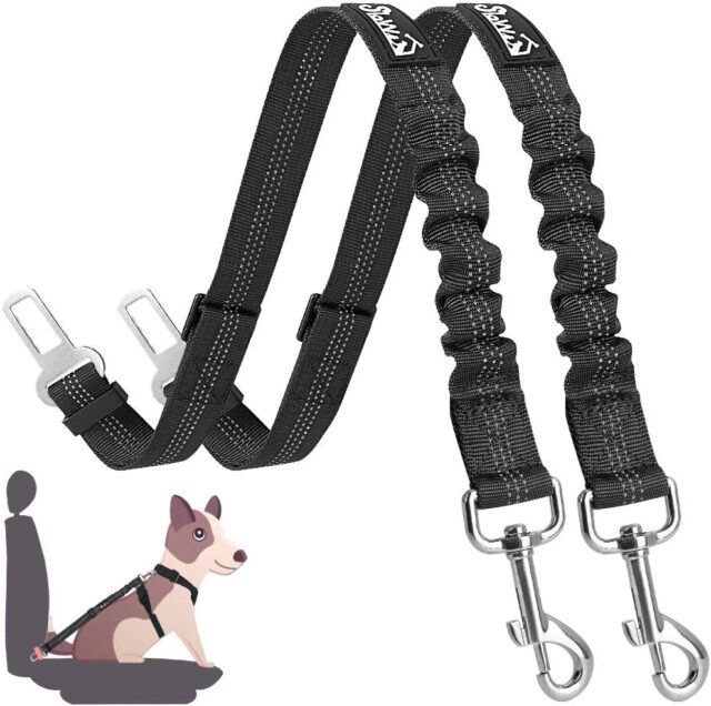 Double pack dog seat belts