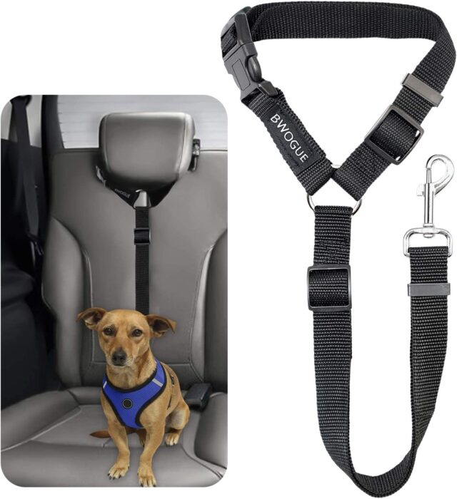 Headrest dog seat belt