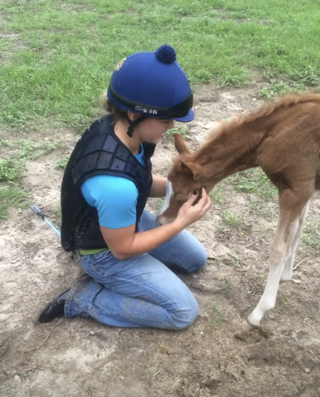 Woman petting baby horse