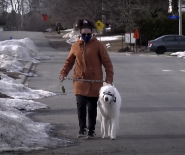 Woman walking hero dog
