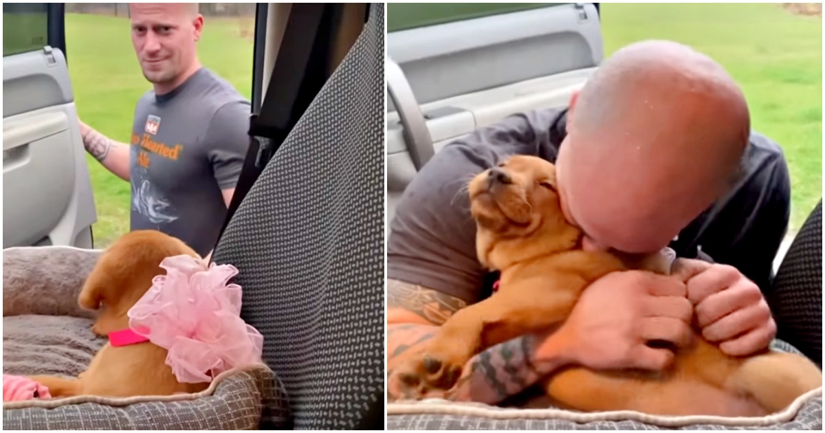 Husband Opens Car Door And ‘Locks Eyes’ With Dream Puppy He Wished For thumbnail