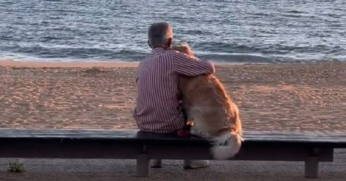 Chúng tôi cá là bạn sẽ khóc khi nhìn thấy người đàn ông này và chú chó của anh ấy cùng nhau ngắm hoàng hôn