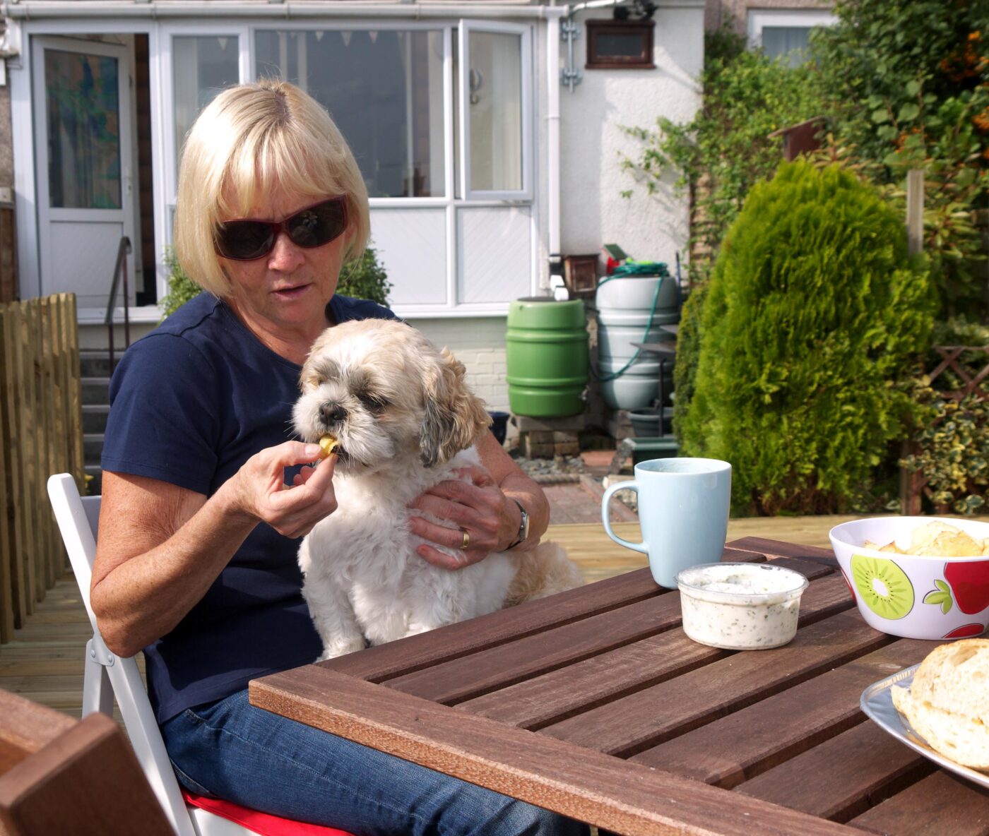 Shih Tzu eating best raw dog food.