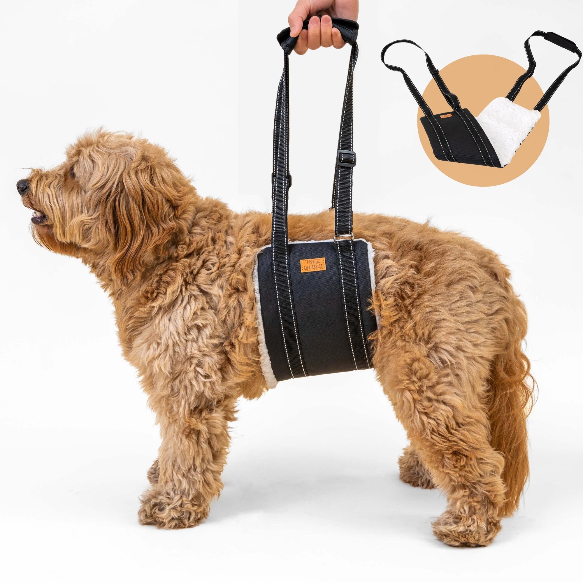 Dog Lift Assist Support Harness - For Senior Dogs, Pet Support & Rehabilitation Sling Lift - Deal 51% OFF!