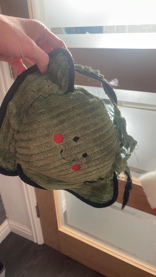 The 20 Best Durable Toys for Staffordshire Bull Terriers