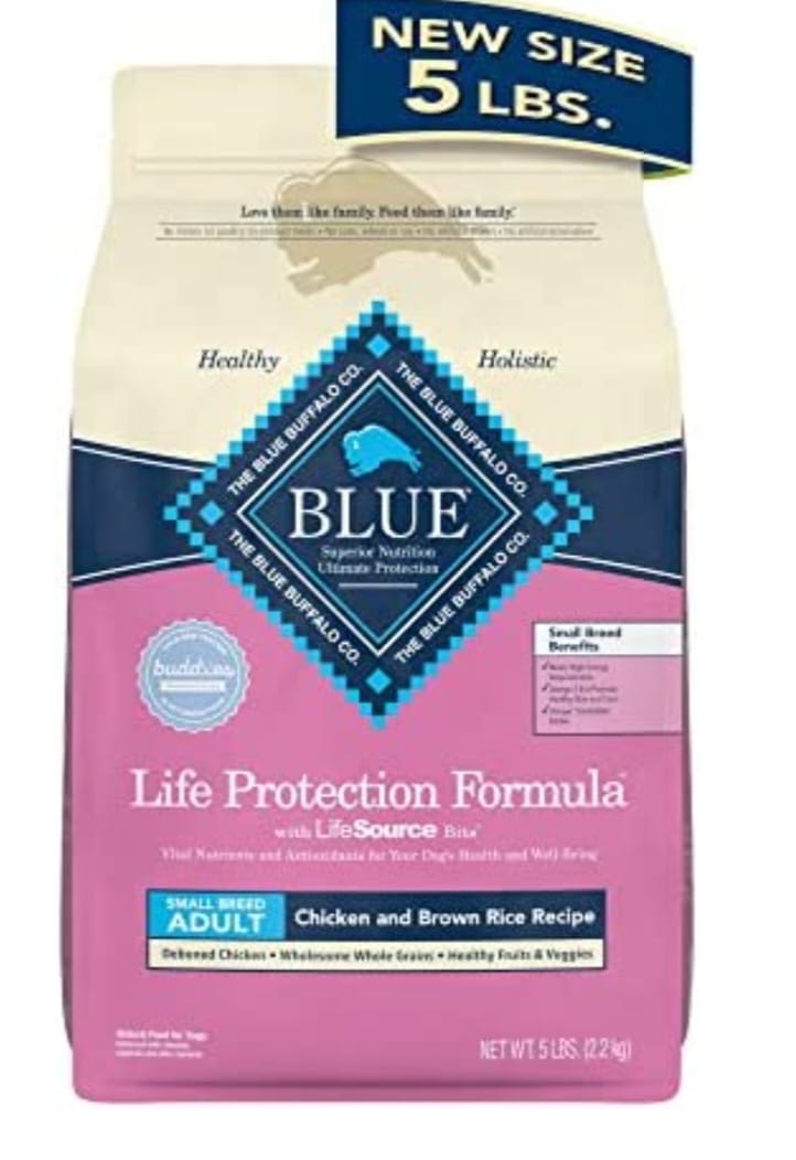 20 Best Foods For Boston Terriers With Allergies Pup Breeds