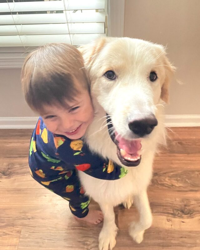 The child hugs the new dog