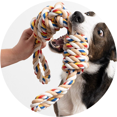 Dog Toys Products