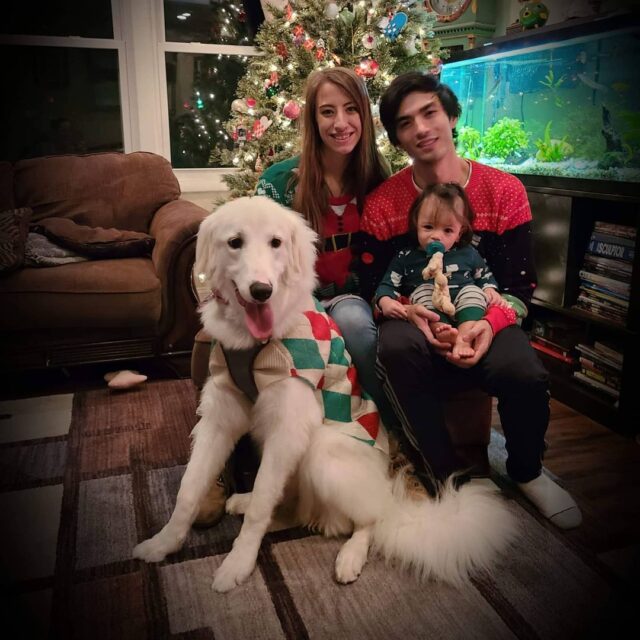 Family with Great Pyrenees
