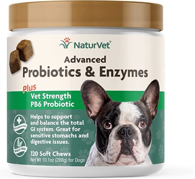 NaturVet Probiotiques pour chiens
