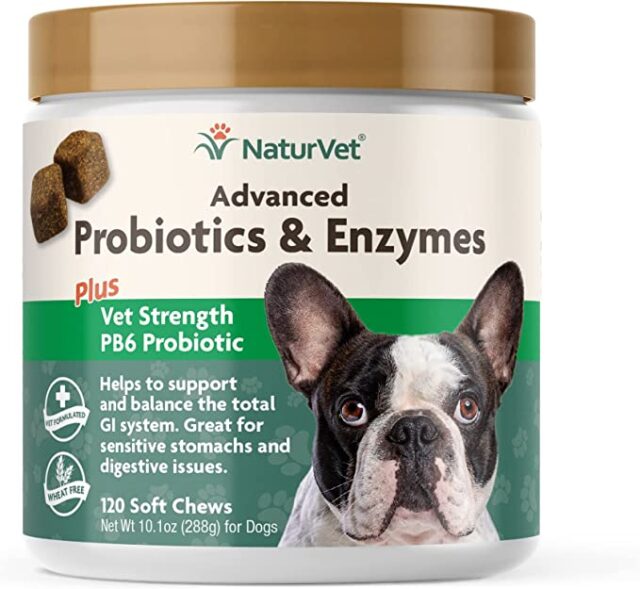 thumbnail image 2 of Youmile Probiotics For Dogs – 120 Soft Chews For Digestion & Itchy Skin Relief. Supports Gut Health For All Breeds & Sizes. 2 of 6