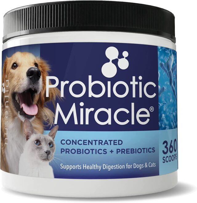 Nusentia probiotiques pour chiens