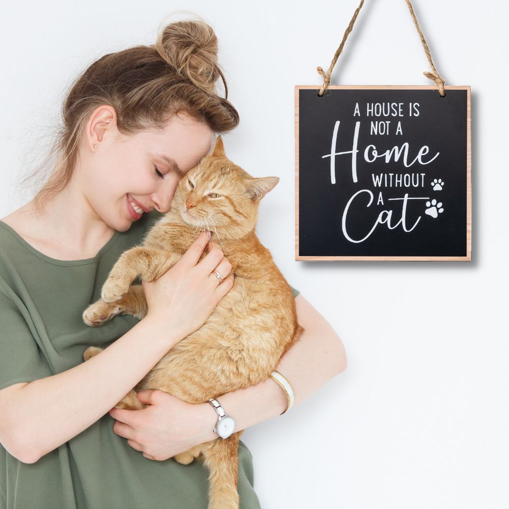 A House Is Not A Home with Out A Cat – Inspirational Cat Home Decor Sign