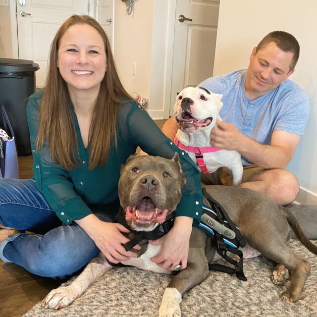 Pit Bulls get adopted