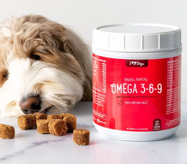 best fish oil supplements for dogs