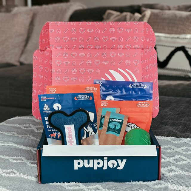 best subscription box for dogs