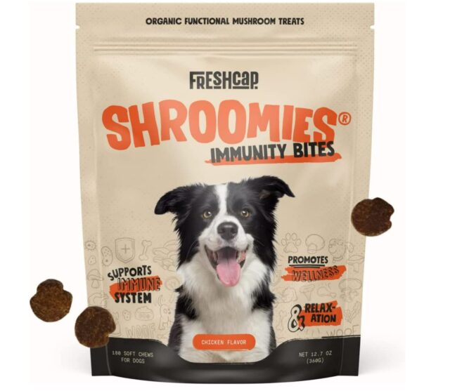 best mushrooms for dogs