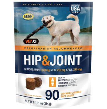 10 Best Joint Supplements for Dogs [2024]