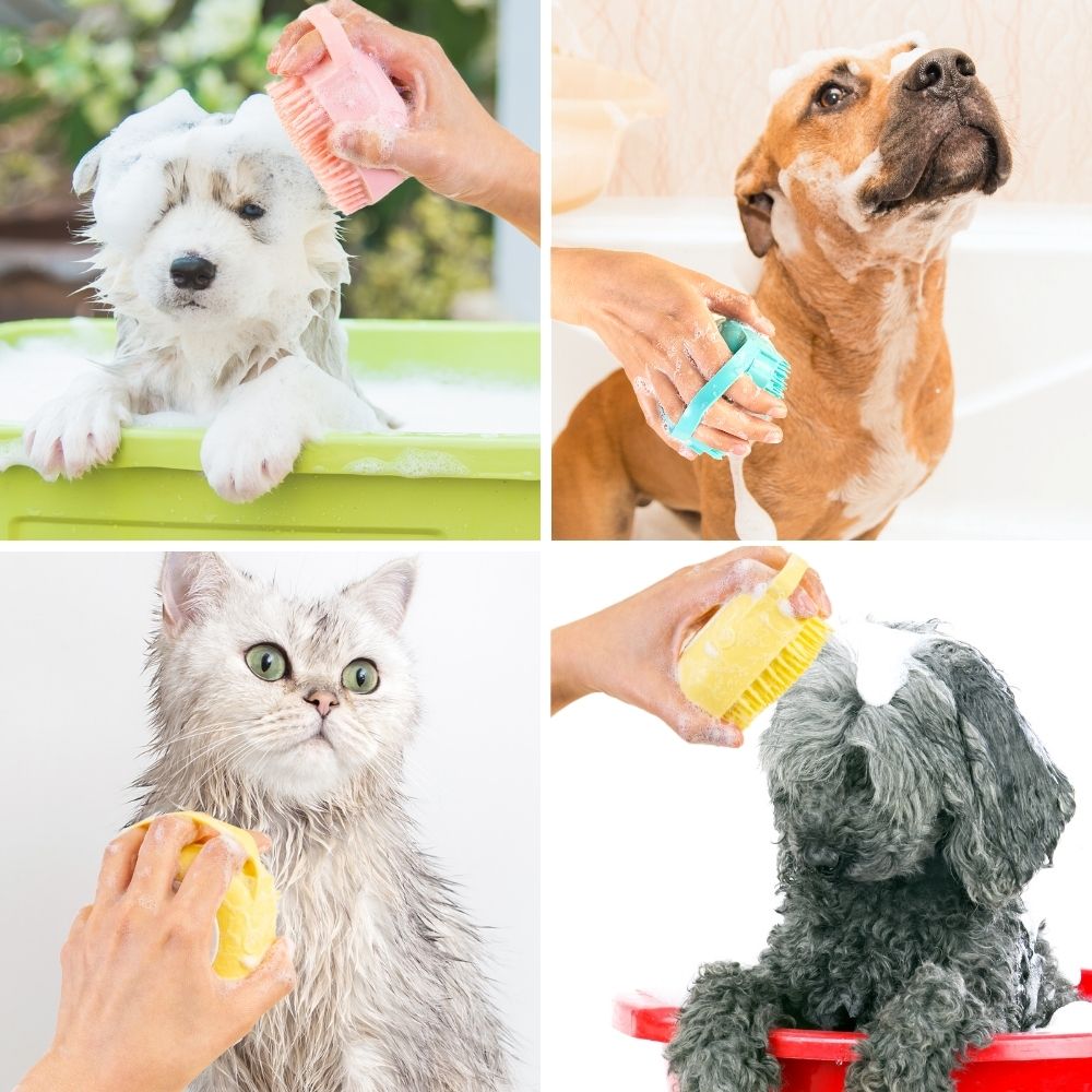 Dog Bath Brush Scrubber - Silicone Pet Brush Dog Scrub Brush for Bath, Dog Washing Brush Dog Shampoo Brush Dispenser, Dog Shower Brush Dog Brush for