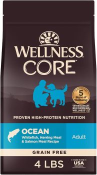 Wellness CORE Adult Dry Dog Food